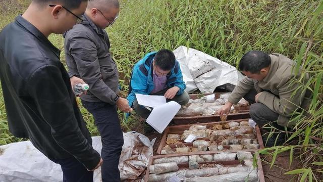 泸县地质灾害风险调查评价野外工作顺利通过专家组验收